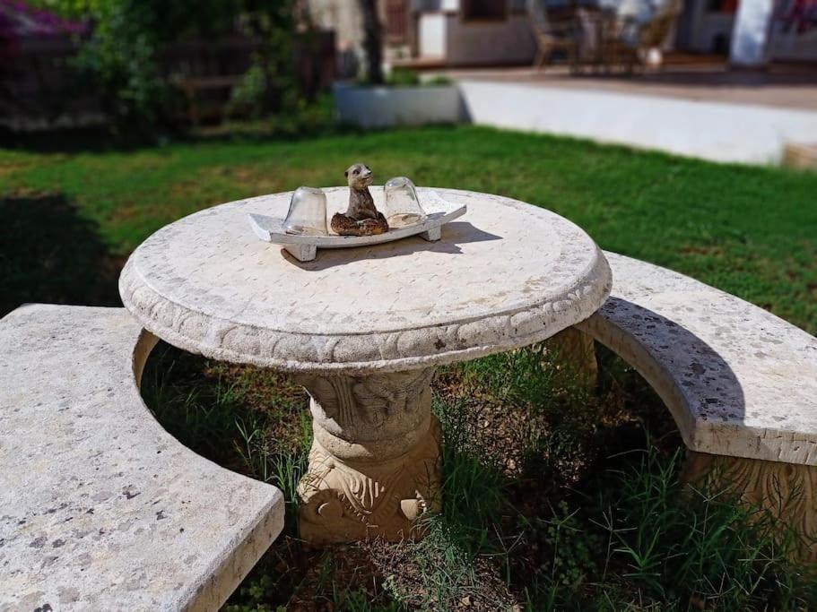 Villa Falconera Apartaments, Gandia A Las Faldas De La Montana Екстериор снимка