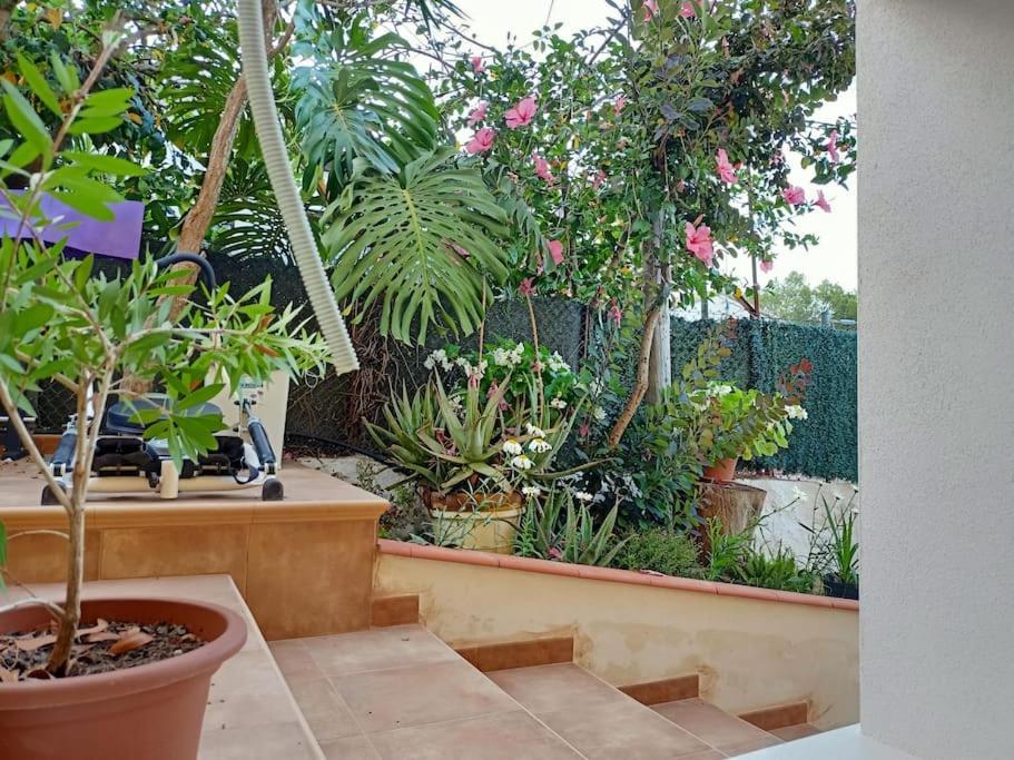 Villa Falconera Apartaments, Gandia A Las Faldas De La Montana Екстериор снимка