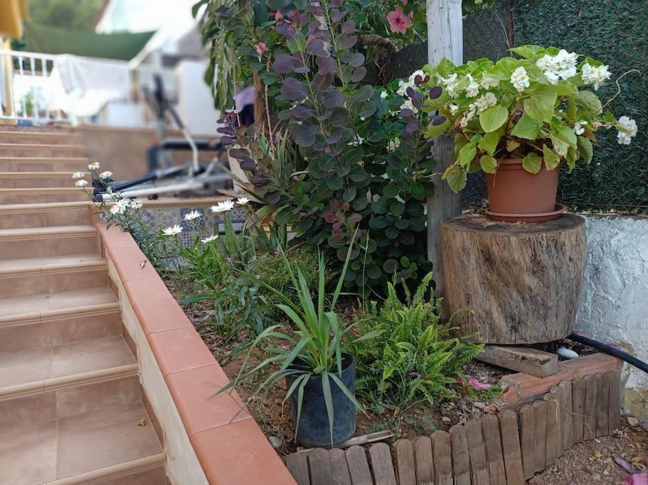 Villa Falconera Apartaments, Gandia A Las Faldas De La Montana Екстериор снимка