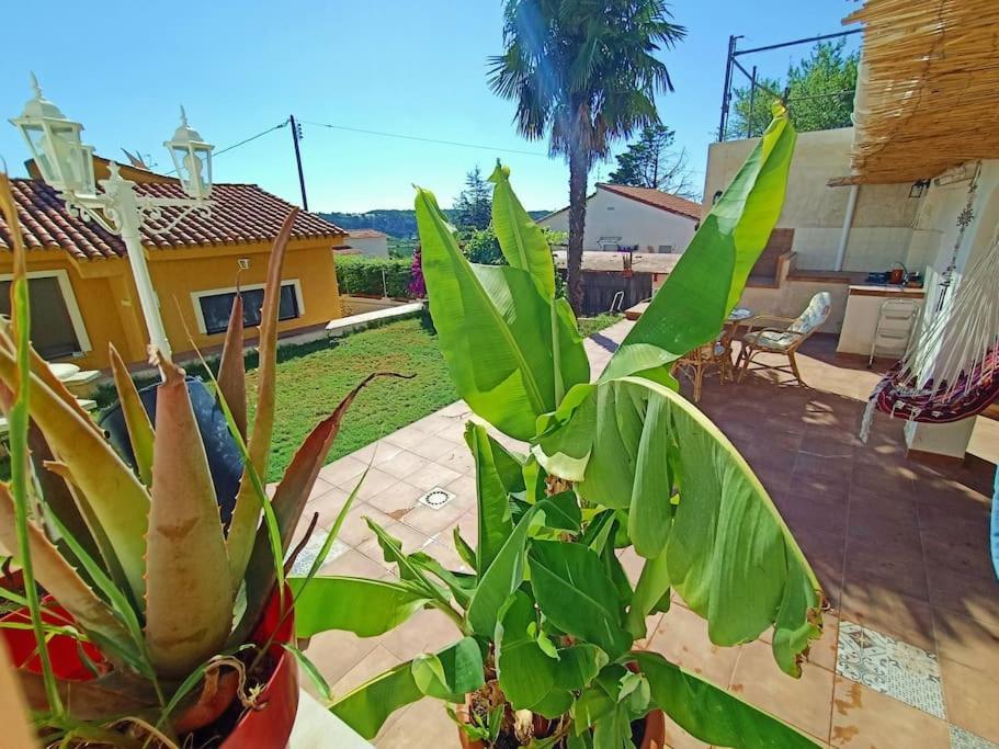 Villa Falconera Apartaments, Gandia A Las Faldas De La Montana Екстериор снимка