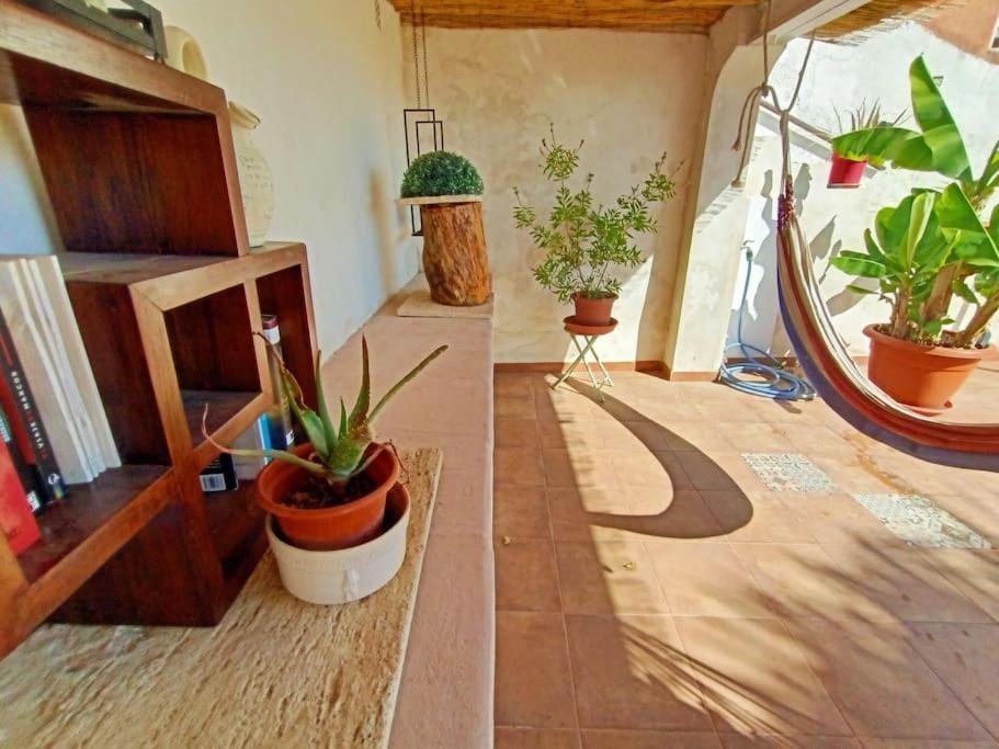 Villa Falconera Apartaments, Gandia A Las Faldas De La Montana Екстериор снимка