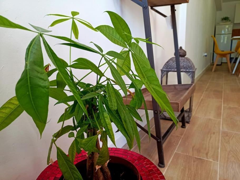 Villa Falconera Apartaments, Gandia A Las Faldas De La Montana Екстериор снимка